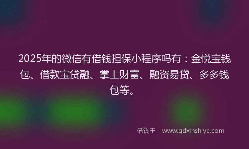 2025年的微信有借钱担保小程序吗有：金悦宝钱包、借款宝贷融、掌上财富、融资易贷、多多钱包等。