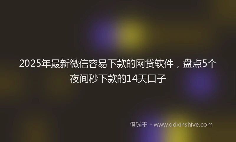2025年最新微信容易下款的网贷软件，盘点5个夜间秒下款的14天口子