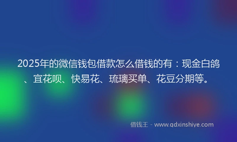 2025年的微信钱包借款怎么借钱的有：现金白鸽、宜花呗、快易花、琉璃买单、花豆分期等。