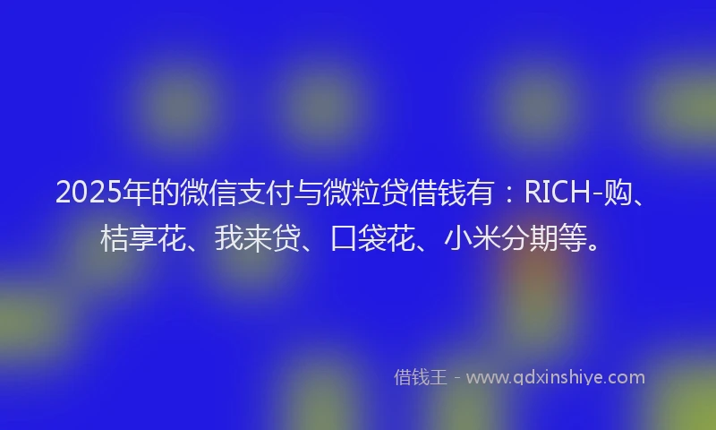 2025年的微信支付与微粒贷借钱有：RICH-购、桔享花、我来贷、口袋花、小米分期等。