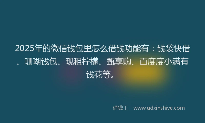 2025年的微信钱包里怎么借钱功能有：钱袋快借、珊瑚钱包、现租柠檬、甄享购、百度度小满有钱花等。