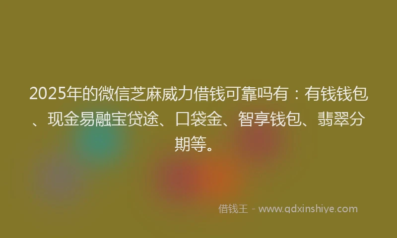 2025年的微信芝麻威力借钱可靠吗有：有钱钱包、现金易融宝贷途、口袋金、智享钱包、翡翠分期等。