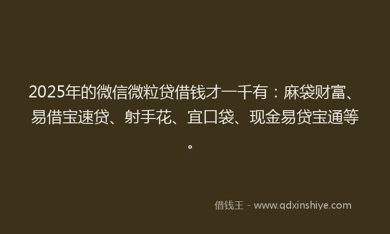 2025年的微信微粒贷借钱才一千有：麻袋财富、易借宝速贷、射手花、宜口袋、现金易贷宝通等。
