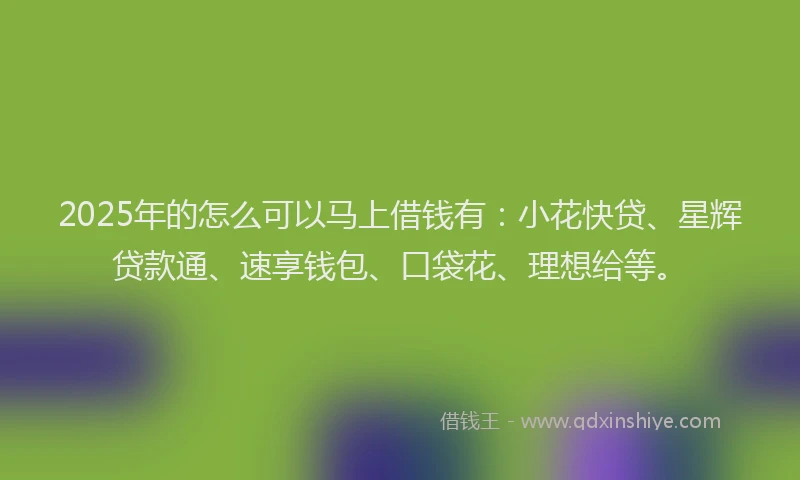 2025年的怎么可以马上借钱有：小花快贷、星辉贷款通、速享钱包、口袋花、理想给等。