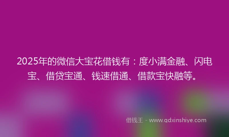 2025年的微信大宝花借钱有：度小满金融、闪电宝、借贷宝通、钱速借通、借款宝快融等。