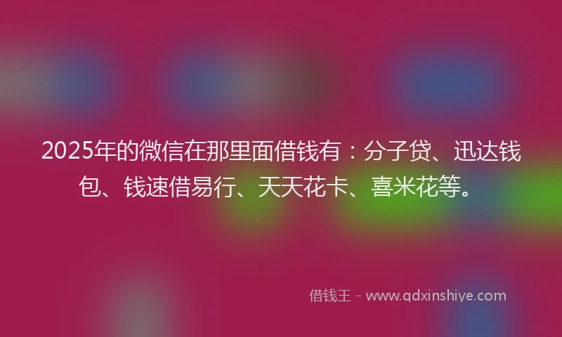 2025年的微信在那里面借钱有：分子贷、迅达钱包、钱速借易行、天天花卡、喜米花等。