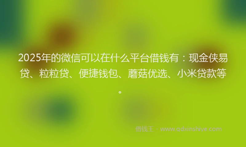 2025年的微信可以在什么平台借钱有：现金侠易贷、粒粒贷、便捷钱包、蘑菇优选、小米贷款等。