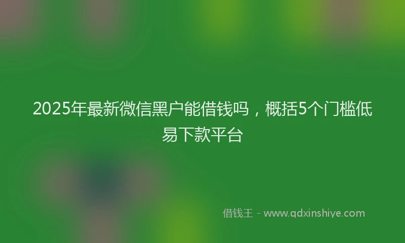 2025年最新微信黑户能借钱吗，概括5个门槛低易下款平台