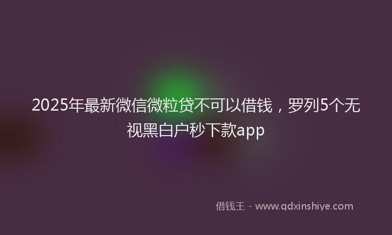2025年最新微信微粒贷不可以借钱，罗列5个无视黑白户秒下款app