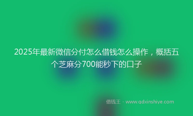 2025年最新微信分付怎么借钱怎么操作，概括五个芝麻分700能秒下的口子