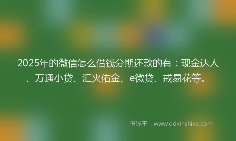 2025年的微信怎么借钱分期还款的有：现金达人、万通小贷、汇火佑金、e微贷、戒易花等。