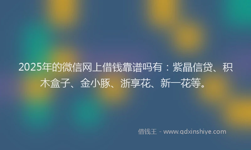 2025年的微信网上借钱靠谱吗有：紫晶信贷、积木盒子、金小豚、浙享花、新一花等。