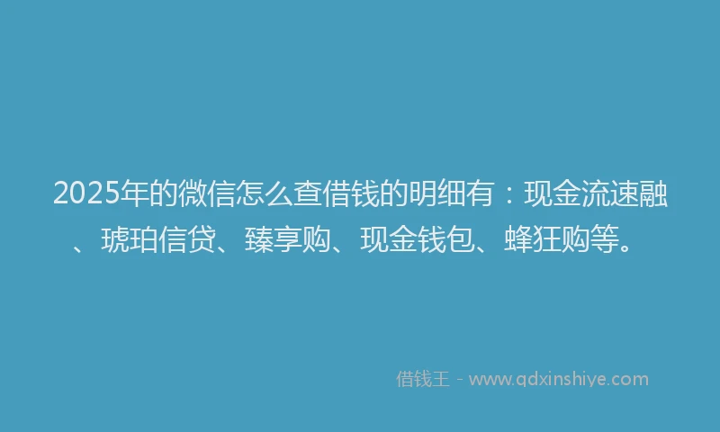 2025年的微信怎么查借钱的明细有：现金流速融、琥珀信贷、臻享购、现金钱包、蜂狂购等。