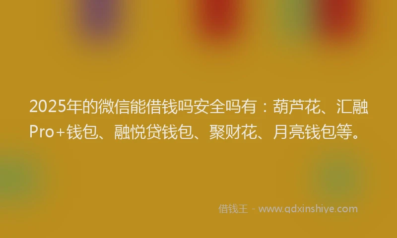 2025年的微信能借钱吗安全吗有：葫芦花、汇融Pro+钱包、融悦贷钱包、聚财花、月亮钱包等。