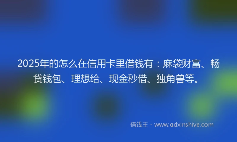 2025年的怎么在信用卡里借钱有：麻袋财富、畅贷钱包、理想给、现金秒借、独角兽等。