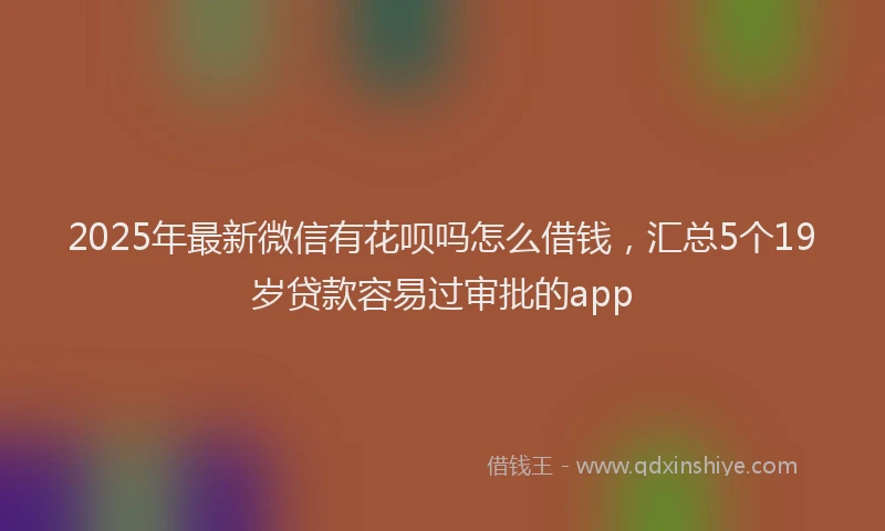 2025年最新微信有花呗吗怎么借钱，汇总5个19岁贷款容易过审批的app