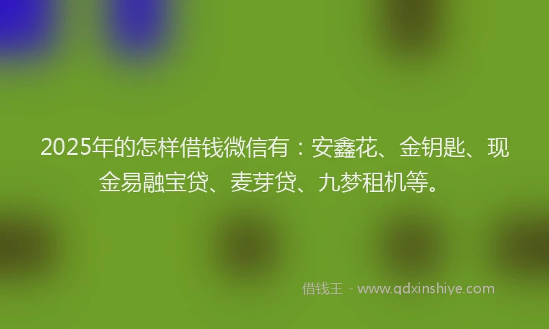 2025年的怎样借钱微信有：安鑫花、金钥匙、现金易融宝贷、麦芽贷、九梦租机等。