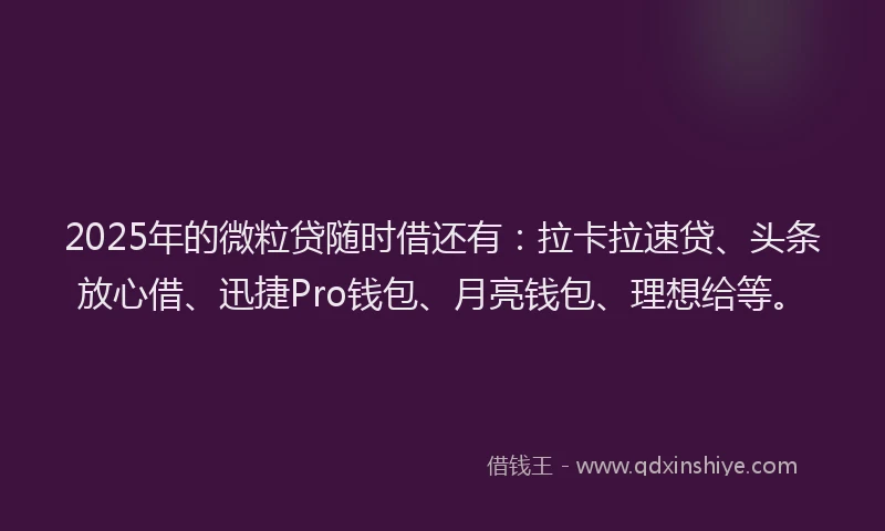 2025年的微粒贷随时借还有：拉卡拉速贷、头条放心借、迅捷Pro钱包、月亮钱包、理想给等。