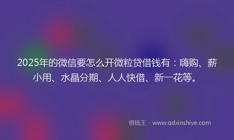 2025年的微信要怎么开微粒贷借钱有：嗨购、薪小用、水晶分期、人人快借、新一花等。