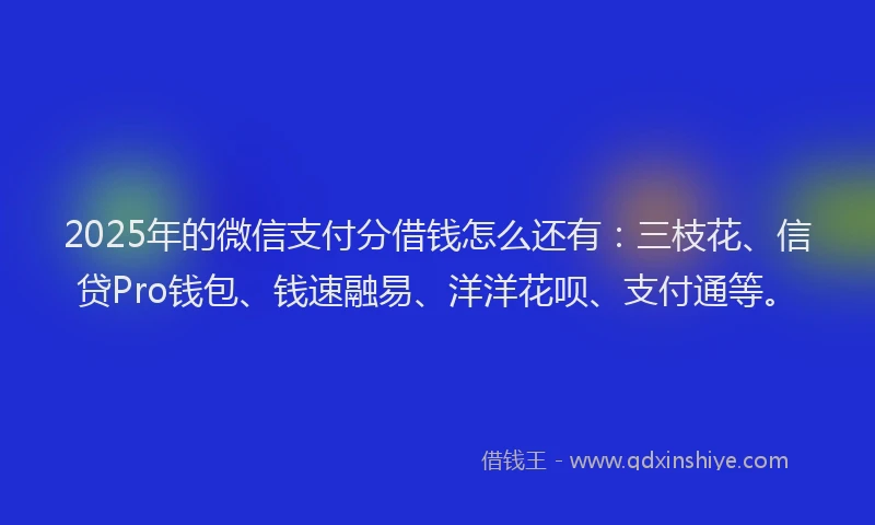 2025年的微信支付分借钱怎么还有：三枝花、信贷Pro钱包、钱速融易、洋洋花呗、支付通等。