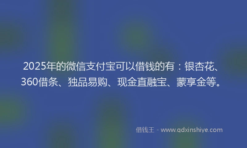 2025年的微信支付宝可以借钱的有：银杏花、360借条、独品易购、现金直融宝、蒙享金等。