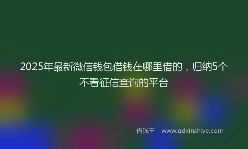 2025年最新微信钱包借钱在哪里借的，归纳5个不看征信查询的平台