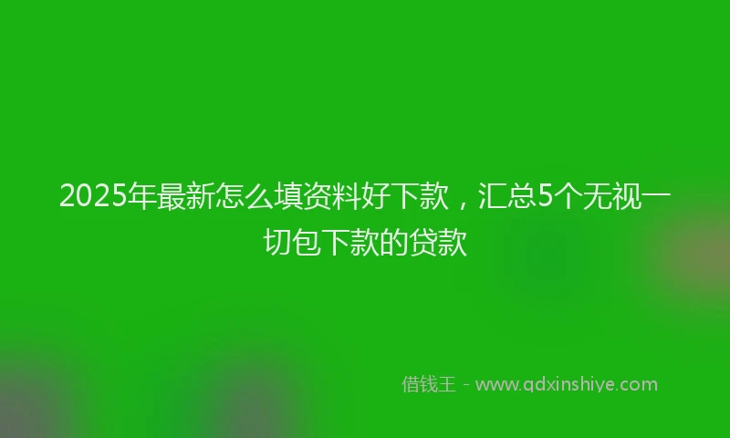 2025年最新怎么填资料好下款，汇总5个无视一切包下款的贷款