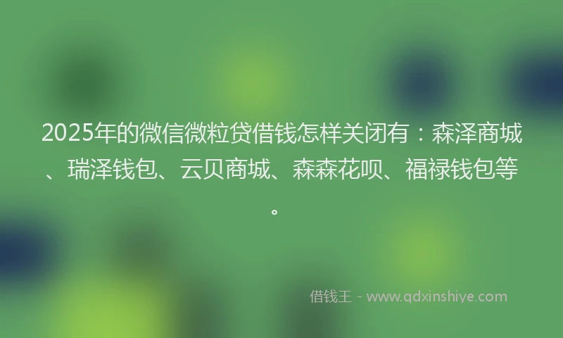 2025年的微信微粒贷借钱怎样关闭有：森泽商城、瑞泽钱包、云贝商城、森森花呗、福禄钱包等。