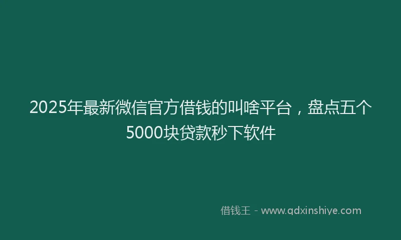2025年最新微信官方借钱的叫啥平台，盘点五个5000块贷款秒下软件