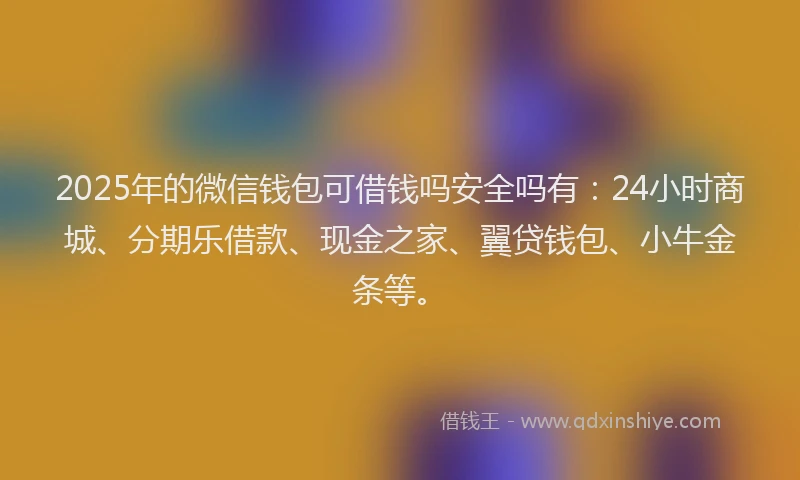 2025年的微信钱包可借钱吗安全吗有：24小时商城、分期乐借款、现金之家、翼贷钱包、小牛金条等。