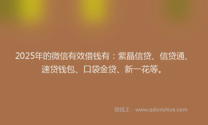 2025年的微信有效借钱有：紫晶信贷、信贷通、速贷钱包、口袋金贷、新一花等。