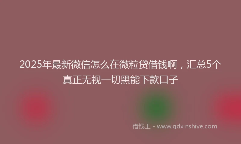 2025年最新微信怎么在微粒贷借钱啊，汇总5个真正无视一切黑能下款口子