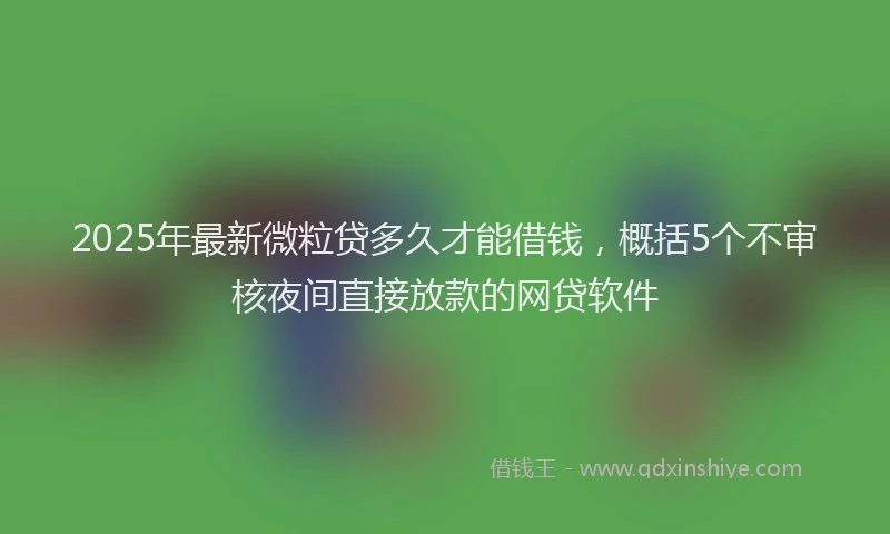 2025年最新微粒贷多久才能借钱，概括5个不审核夜间直接放款的网贷软件