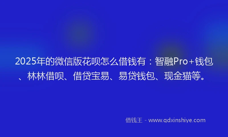 2025年的微信版花呗怎么借钱有：智融Pro+钱包、林林借呗、借贷宝易、易贷钱包、现金猫等。