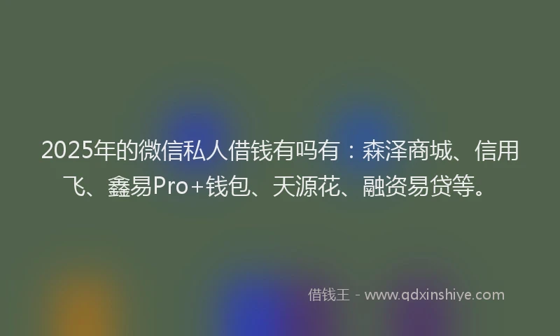 2025年的微信私人借钱有吗有：森泽商城、信用飞、鑫易Pro+钱包、天源花、融资易贷等。