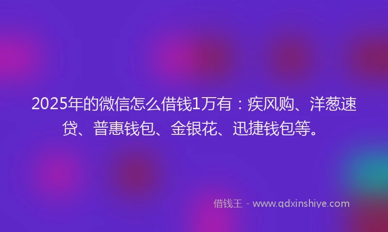 2025年的微信怎么借钱1万有：疾风购、洋葱速贷、普惠钱包、金银花、迅捷钱包等。