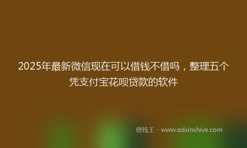 2025年最新微信现在可以借钱不借吗，整理五个凭支付宝花呗贷款的软件