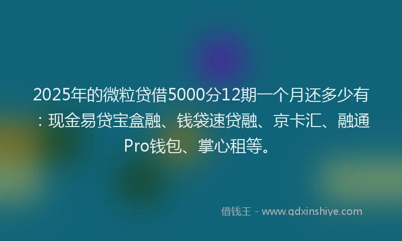 2025年的微粒贷借5000分12期一个月还多少有：现金易贷宝盒融、钱袋速贷融、京卡汇、融通Pro钱包、掌心租等。