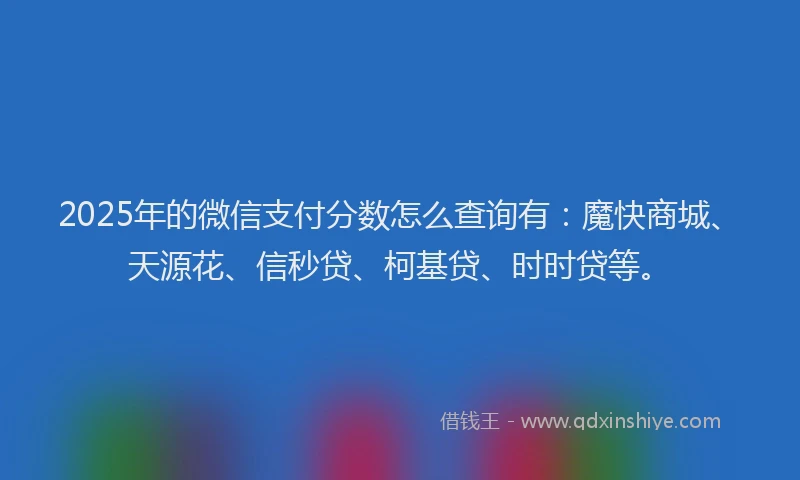 2025年的微信支付分数怎么查询有：魔快商城、天源花、信秒贷、柯基贷、时时贷等。