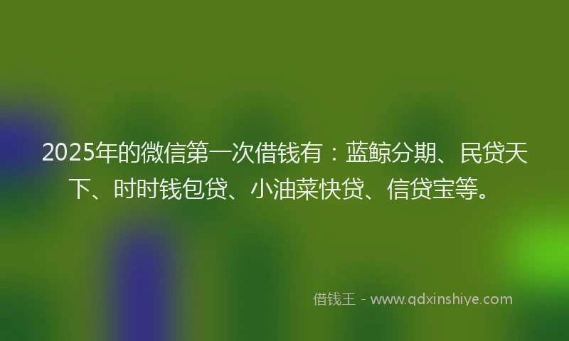 2025年的微信第一次借钱有：蓝鲸分期、民贷天下、时时钱包贷、小油菜快贷、信贷宝等。