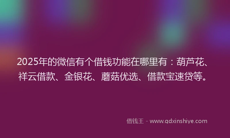 2025年的微信有个借钱功能在哪里有：葫芦花、祥云借款、金银花、蘑菇优选、借款宝速贷等。