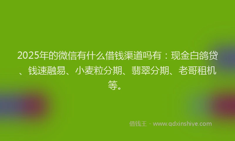 2025年的微信有什么借钱渠道吗有：现金白鸽贷、钱速融易、小麦粒分期、翡翠分期、老哥租机等。