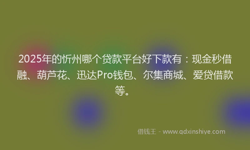 2025年的忻州哪个贷款平台好下款有：现金秒借融、葫芦花、迅达Pro钱包、尔集商城、爱贷借款等。