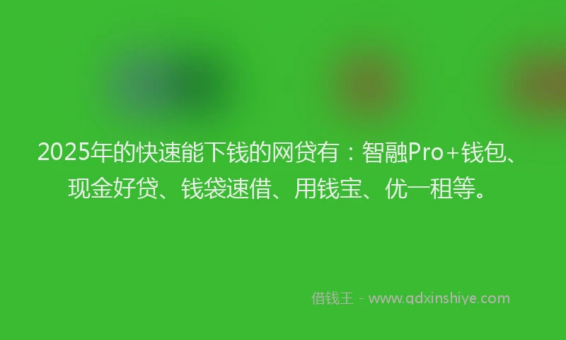2025年的快速能下钱的网贷有：智融Pro+钱包、现金好贷、钱袋速借、用钱宝、优一租等。