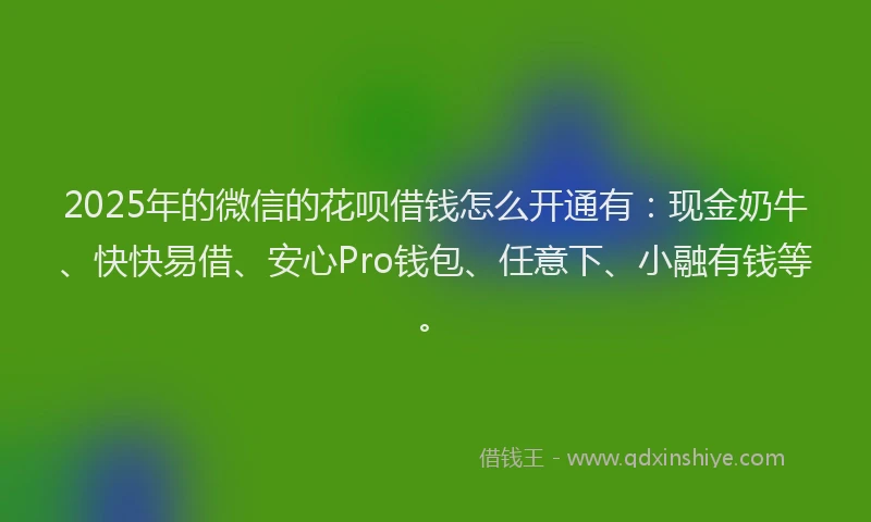 2025年的微信的花呗借钱怎么开通有：现金奶牛、快快易借、安心Pro钱包、任意下、小融有钱等。