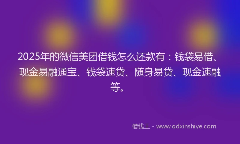 2025年的微信美团借钱怎么还款有：钱袋易借、现金易融通宝、钱袋速贷、随身易贷、现金速融等。