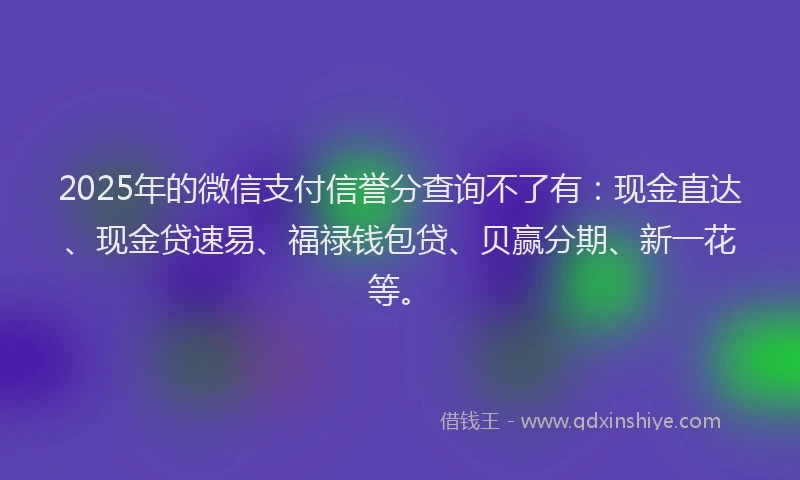 2025年的微信支付信誉分查询不了有：现金直达、现金贷速易、福禄钱包贷、贝赢分期、新一花等。