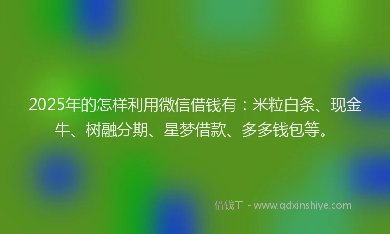 2025年的怎样利用微信借钱有：米粒白条、现金牛、树融分期、星梦借款、多多钱包等。