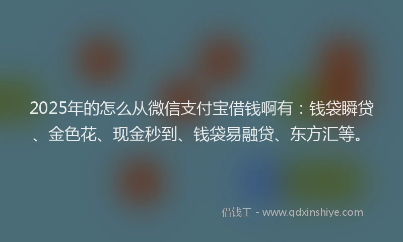 2025年的怎么从微信支付宝借钱啊有：钱袋瞬贷、金色花、现金秒到、钱袋易融贷、东方汇等。