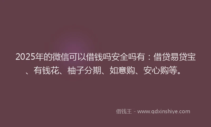 2025年的微信可以借钱吗安全吗有：借贷易贷宝、有钱花、柚子分期、如意购、安心购等。